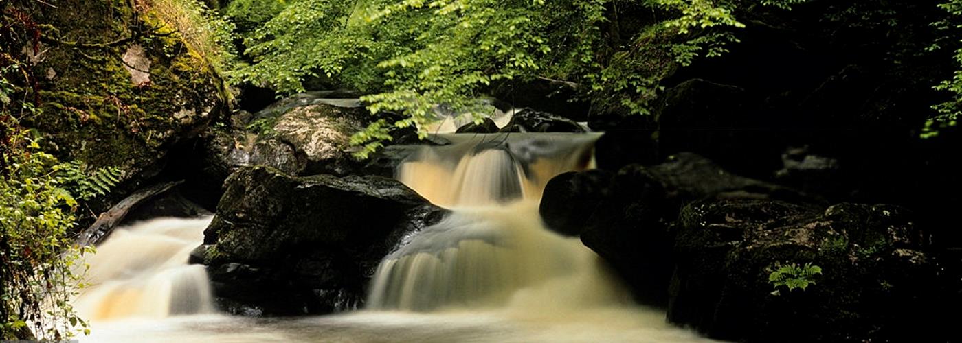 viapl banner image: perigord limousin